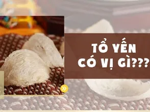 Tổ yến có vị gì?