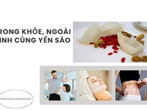 Bí quyết trong khỏe, ngoài xinh từ yến sào