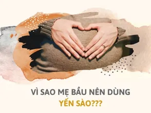Vì sao mẹ bầu nên dùng yến sào???