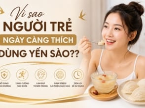 Vì sao người trẻ ngày càng thích dùng yến sào?