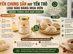 YẾN CHƯNG SẴN HAY YẾN THÔ - LOẠI NÀO ĐÁNG MUA HƠN TRONG THÁNG MƯA NĂM 2026