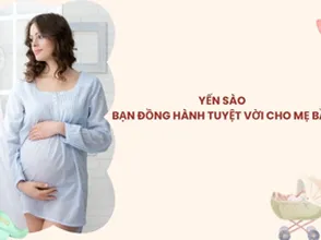Yến sào, người bạn đồng hành tuyệt vời cho mẹ bầu