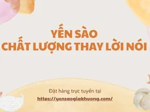 Yến sào – Chất lượng thay lời nói