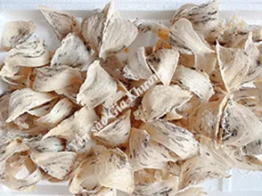 Có cách nào nhặt yến thô nhanh hơn không?