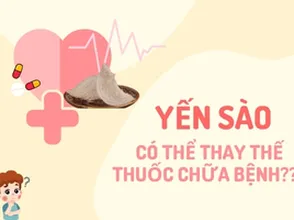 Yến sào có thể thay thế thuốc chữa bệnh???
