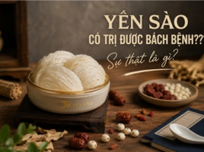 Yến sào có trị được bách bệnh???