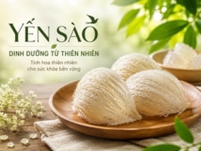 Yến sào dinh dưỡng từ thiên nhiên