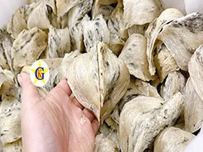 Bí quyết chưng yến không bị tanh