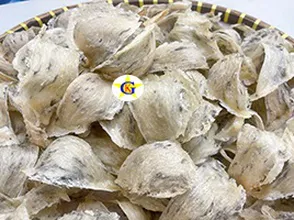 Yến sào – Món quà tuyệt diệu từ thiên nhiên