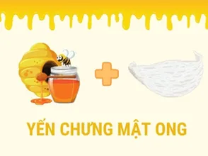 YẾN CHƯNG MẬT ONG
