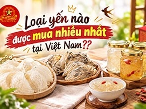Loại yến nào được mua nhiều nhất tại Việt Nam???