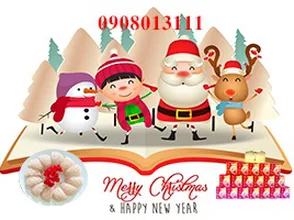 Yến sào – Món quà ý nghĩa nhân dịp noel