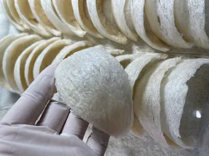 Vì sao ta gọi đây là yến định hình A5