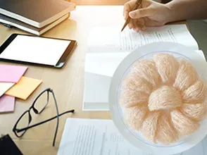 Yến sào giúp tăng cường năng lượng cho các các em học sinh