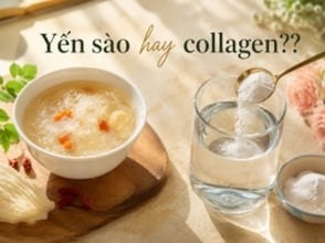 Yến sào hay collagen???