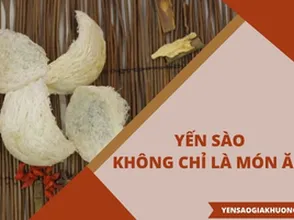 Yến sào – Không chỉ là món ăn