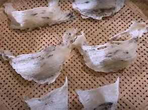 3 loại yến thô bán trên thị trường hiện nay