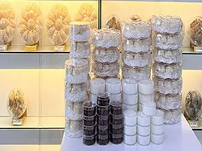 Yến Sào Gia Khương tri ân khách hàng nhân dịp xuân 2022