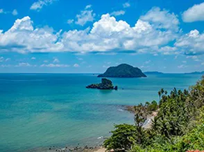 Giá tổ yến phụ thuộc vào những yến tố nào