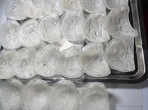 Giai đoạn hình thành tổ yến định hình A5