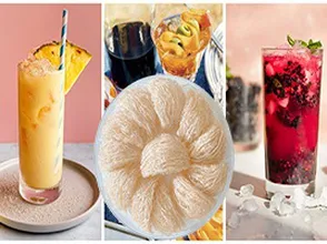 Có thể chế biến nước ép yến sào hay không?