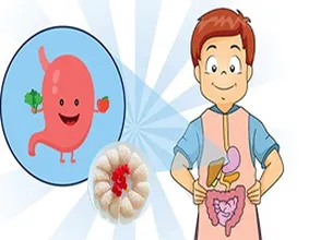 Ăn yến có tốt cho hệ tiêu hóa