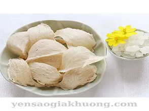 Yến sào rút lông định hình