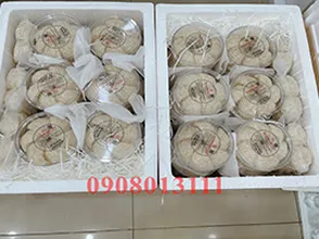 Hình ảnh xuất khẩu yến qua Hoa Kỳ