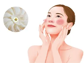 Yến sào giúp tăng cường vẻ đẹp cho da vào mùa đông