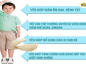 Trẻ em ăn yến sào giúp trẻ tăng chiều cao