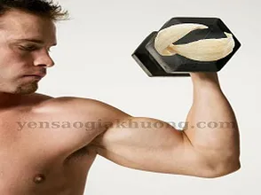 Yến sào tăng cường sức khỏe cho phái mạnh