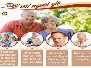 Công dụng yến sào cho người cao tuổi