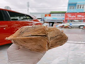 Video hồng yến tổ to và đẹp