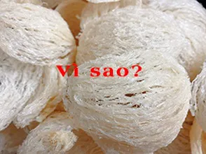 Video vì sao ăn yến thượng hạng rất là tuyệt vời?