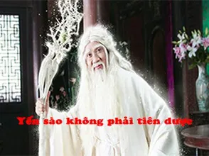 Yến sào không phải tiên dược