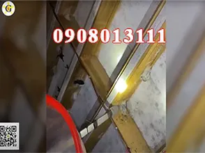 Ngày đi hái yến trong tình hình dịch Covid được nới lỏng