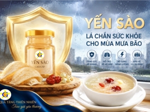 Yến sào - lá chắn sức khỏe cho mùa mưa bão