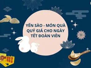 Yến sào – Món quà quý giá cho ngày Tết đoàn viên