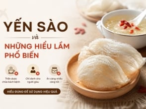 Yến sào và những hiểu lầm phổ biến