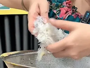 Xem ngay video này để bạn thấy nhặt Yến nhiều lông không có gì là đáng sợ