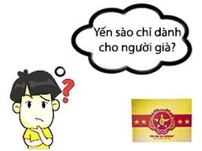 Yến sào chỉ dành cho người già?