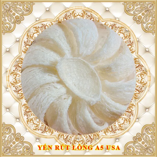 Yến rút lông định hình A5