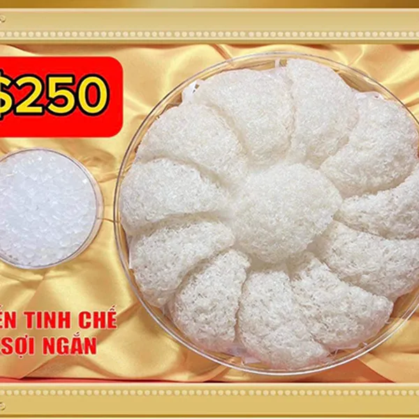 Yến tinh chế sợi ngắn