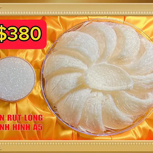 Yến rút lông định hình A5