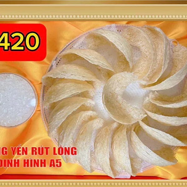 Hồng Yến Rút Lông Định Hình A5 USA