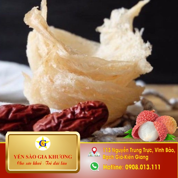 Tổ yến chưng vải Tổ yến chưng vải