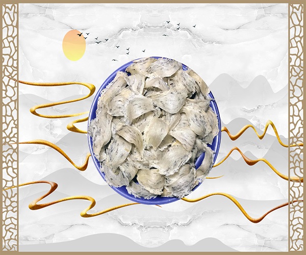 tổ yến thô là gì tổ yến thô là gì