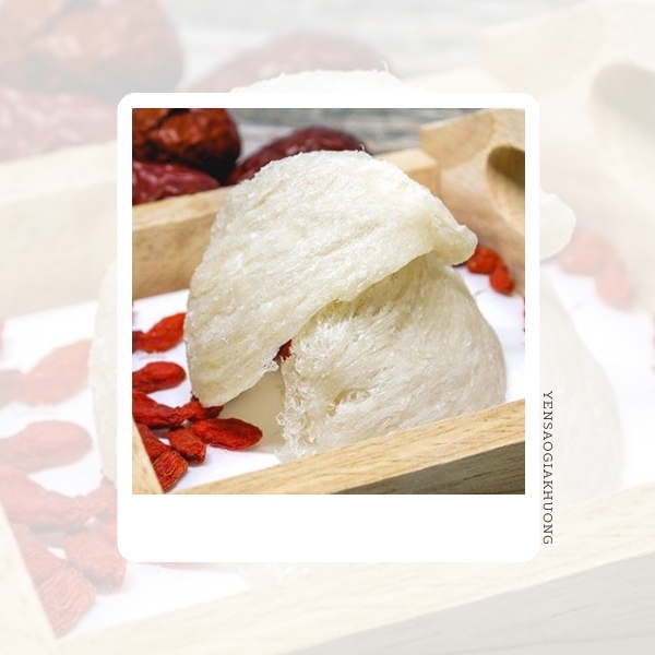 Top 4 điều cần biết khi dùng tổ yến Top 4 điều cần biết khi dùng tổ yến