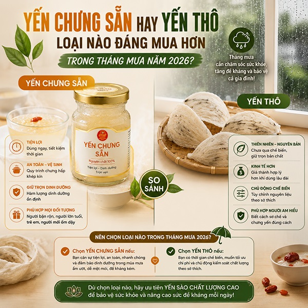 YẾN CHƯNG SẴN HAY YẾN THÔ - LOẠI NÀO ĐÁNG MUA HƠN TRONG THÁNG MƯA NĂM 2026 YẾN CHƯNG SẴN HAY YẾN THÔ - LOẠI NÀO ĐÁNG MUA HƠN TRONG THÁNG MƯA NĂM 2026