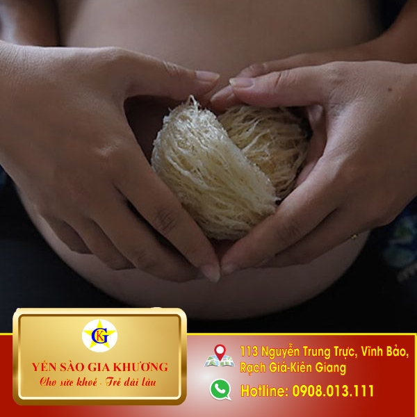 Yến sào, người bạn đồng hành tuyệt vời cho mẹ bầu Yến sào, người bạn đồng hành tuyệt vời cho mẹ bầu